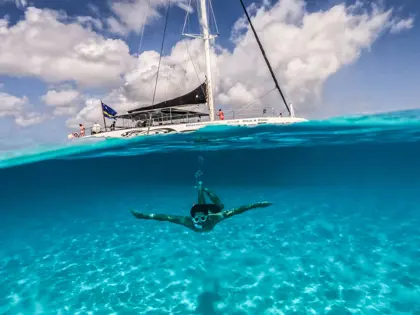 Blue_Finn_West_Coast_2